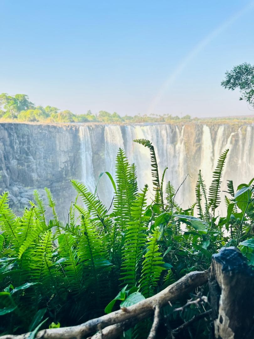 Falls, spray & rainforest paths