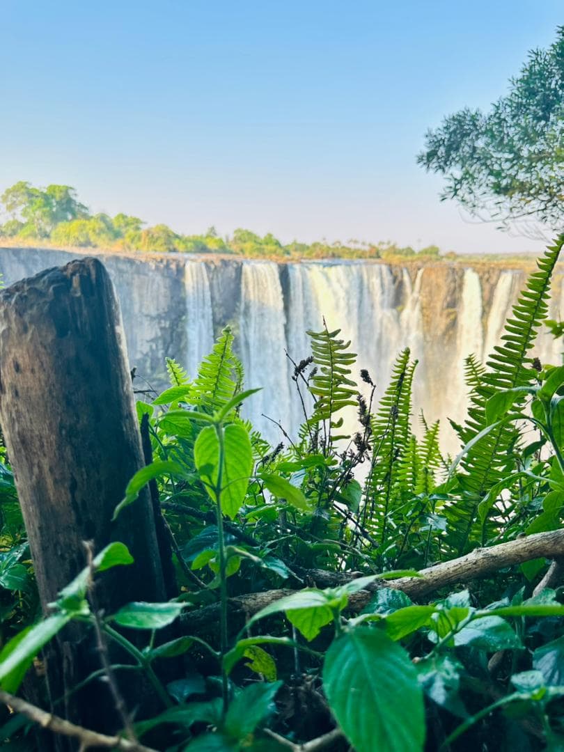 Livingstone